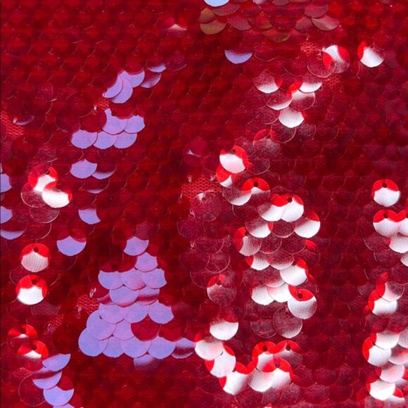 Zara Skirt SEQUIN MIDI ZW COLLECTION holiday party festive maximalism bold - Picture 10 of 16